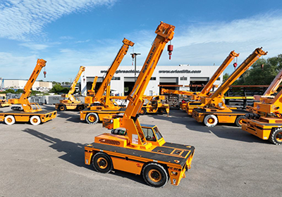 Carry Deck Crane For Sale